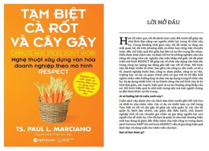 Cây gậy và củ cà rốt PDF