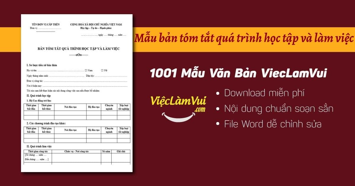Mẫu bản tóm tắt quá trình học tập và làm việc file Word