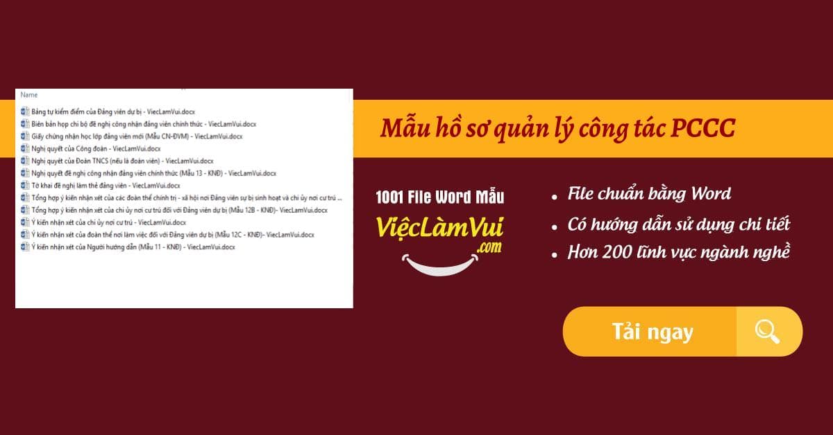 Hồ sơ chuyển Đảng chính thức