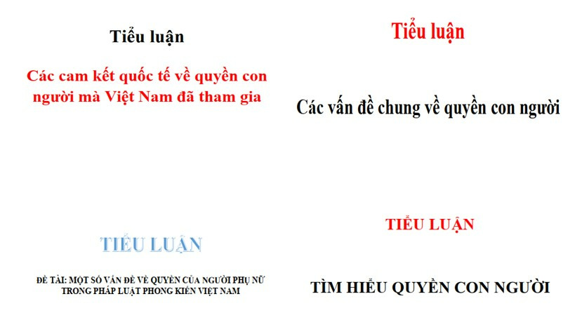 Mẫu tiểu luận về quyền con người PDF