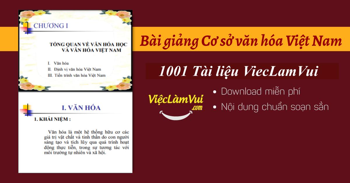 Bài giảng Cơ sở văn hóa Việt Nam