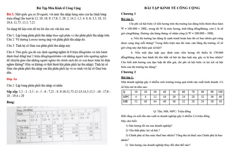 Bài tập kinh tế công cộng có lời giải PDF, DOC