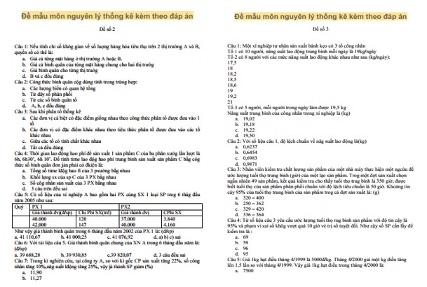 Đề thi nguyên lý thống kê PDF