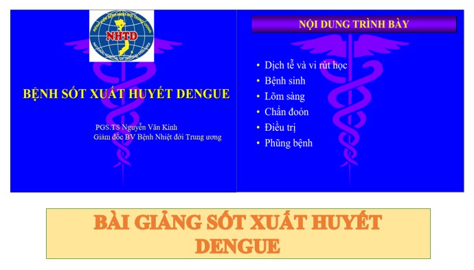 Bài giảng sốt xuất huyết Dengue PPT, PDF