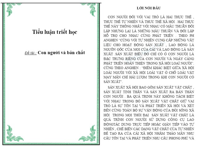 Tiểu luận con người và bản chất con người - ViecLamVui
