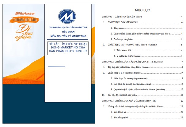 Mẫu tiểu luận về thương hiệu Biti's DOC, PDF