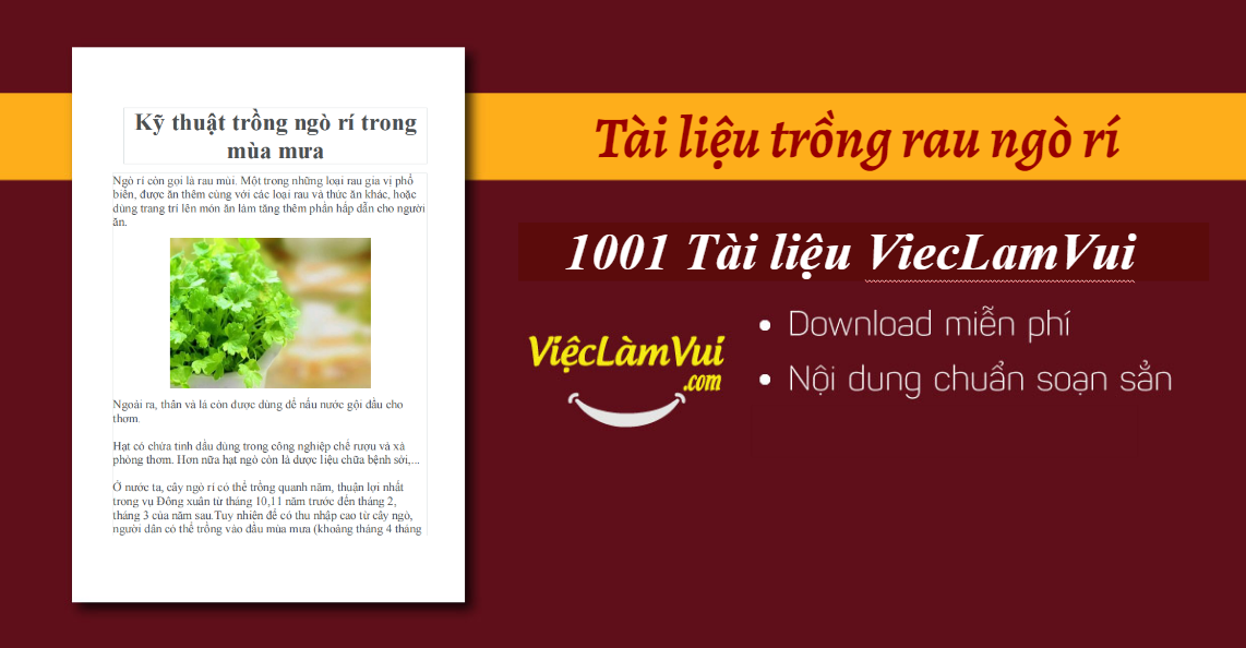 Tài liệu trồng rau ngò rí (rau mùi)