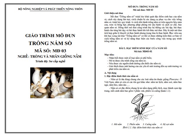 Tài liệu trồng nấm sò PDF