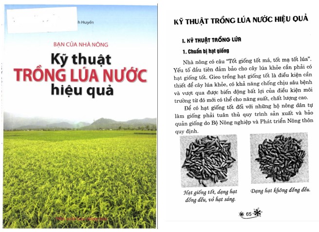 Tài liệu tập huấn kỹ thuật trồng lúa PDF