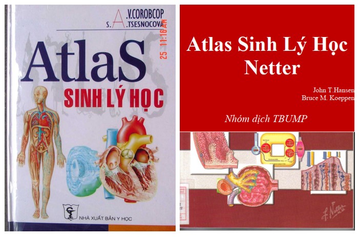 Sách atlas sinh lý học PDF