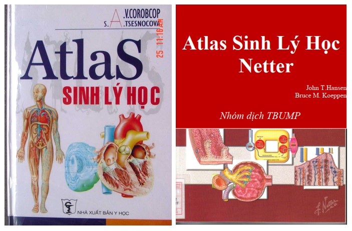 Sách atlas sinh lý học - ViecLamVui