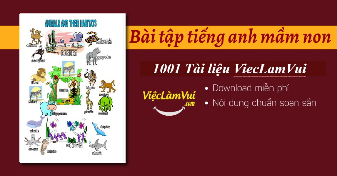 Các dạng bài tập tiếng Anh mầm non