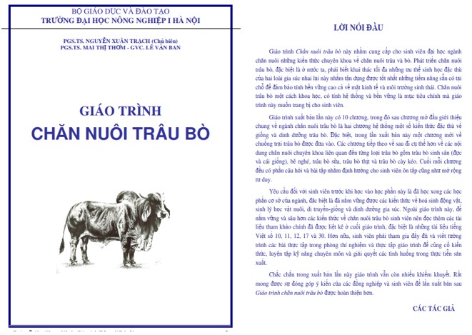 Giáo trình chăn nuôi trâu bò PDF