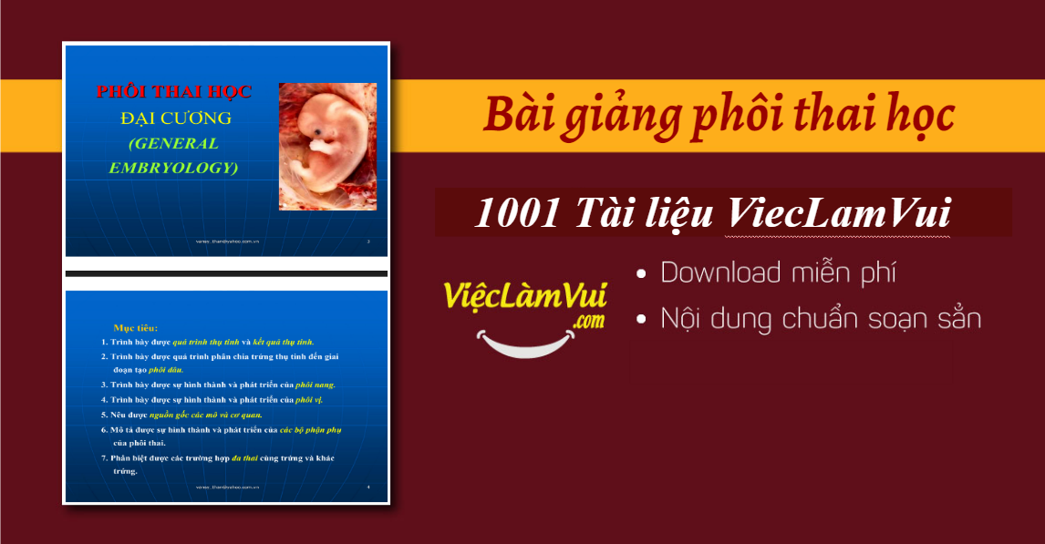 Slide bài giảng phôi thai học