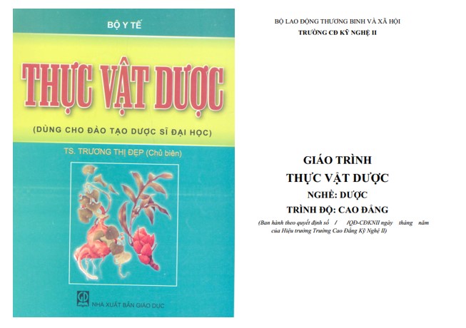 Giáo trình thực vật dược PDF