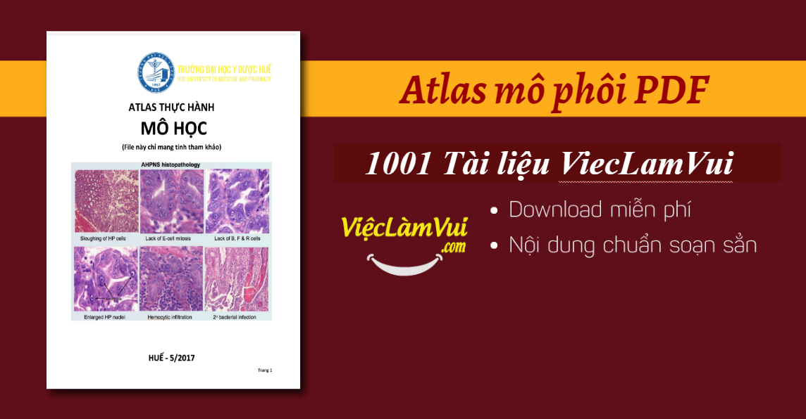 atlas mô phôi pdf - ViecLamVui