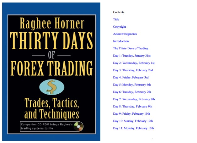 Thirty Days of Forex Trading PDF - ViecLamVui