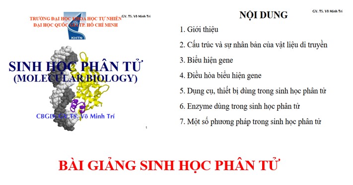 Bài giảng sinh học phân tử