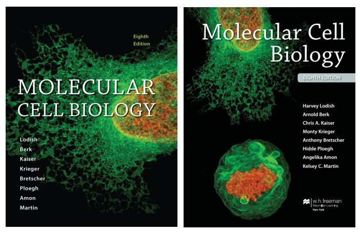 Ebook Sinh học phân tử của tế bào PDF