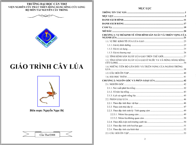 Giáo trình cây lúa PDF