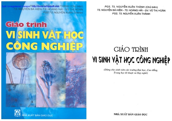 Giáo trình vi sinh vật học công nghiệp PDF