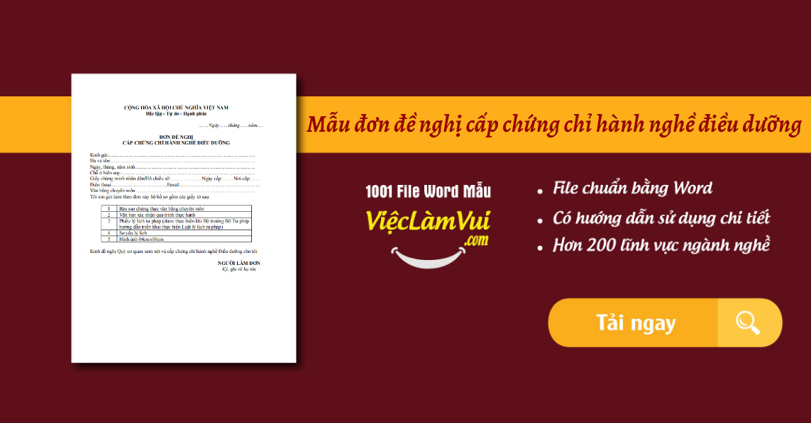đơn đề nghị cấp chứng chỉ hành nghề điều dưỡng - ViecLamVui