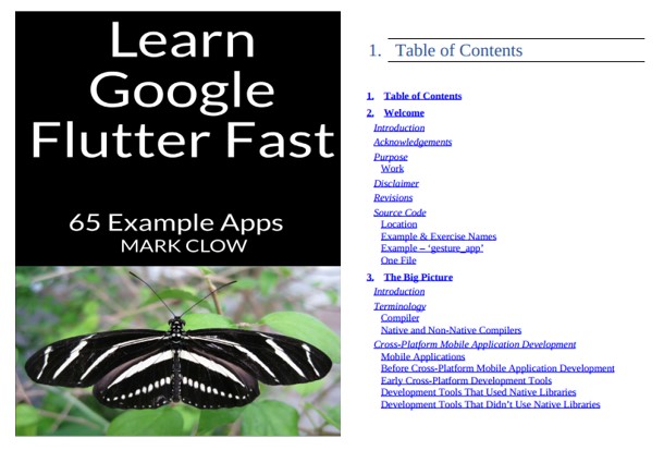 Ebook Learn Google Flutter Fast PDF