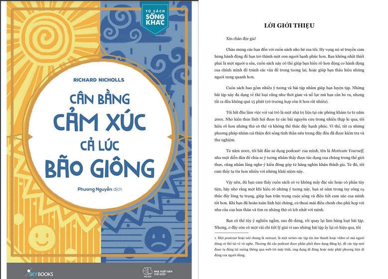 Sách cân bằng cảm xúc cả lúc bão giông PDF