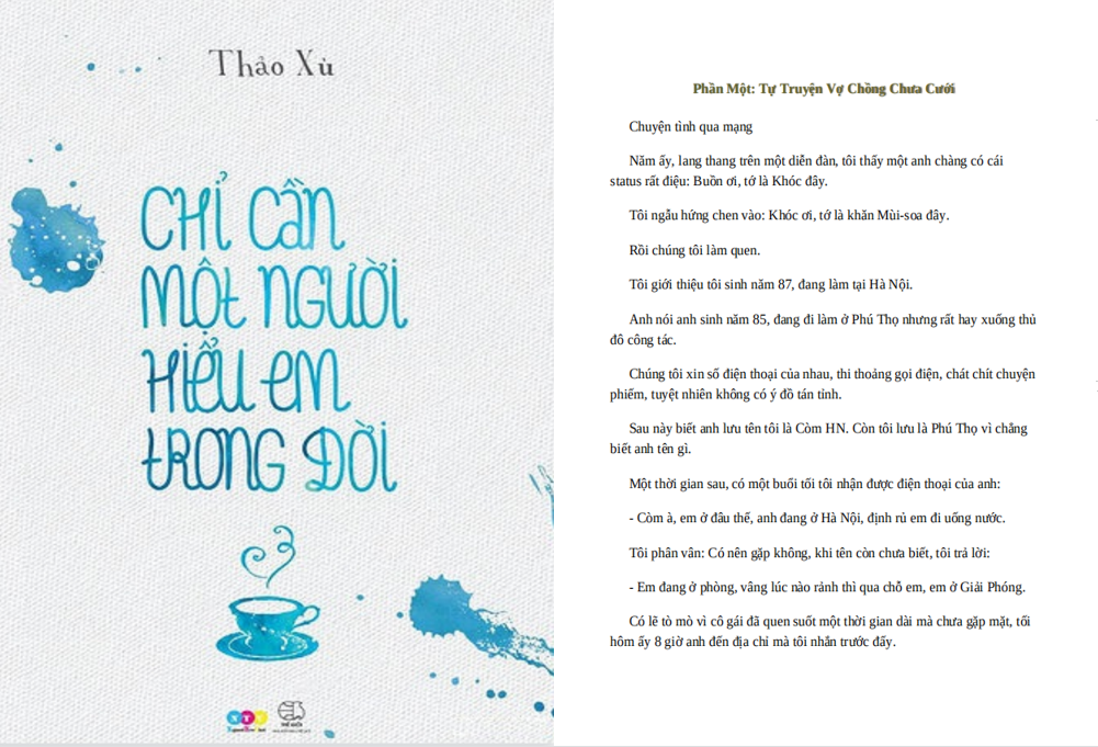 Chỉ cần một người hiểu em trong đời PDF - Thảo Xù