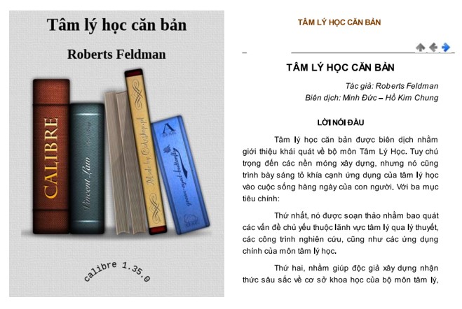 Tâm lý học căn bản - Roberts Feldman PDF