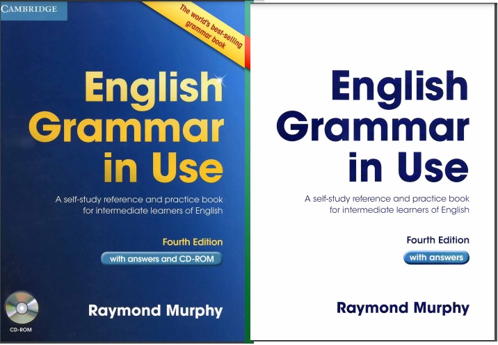 English Grammar In Use 4th Edition PDF Free Download
