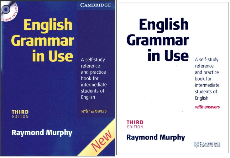  English Grammar In Use Raymond Murphy Third Edition PDF