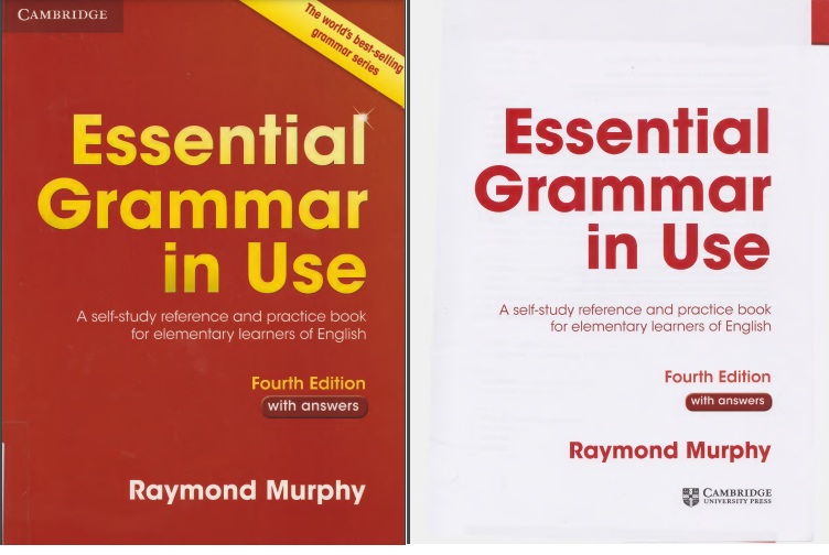 Essential Grammar In Use 4th Edition PDF