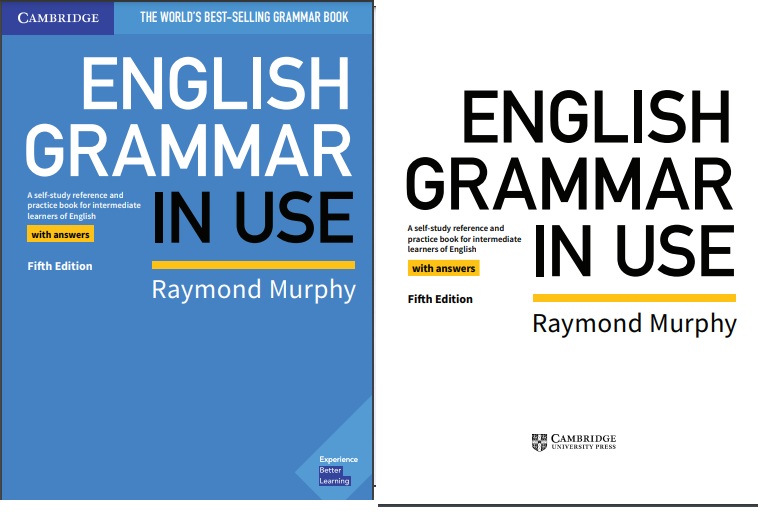English Grammar In Use 5th Edition PDF download