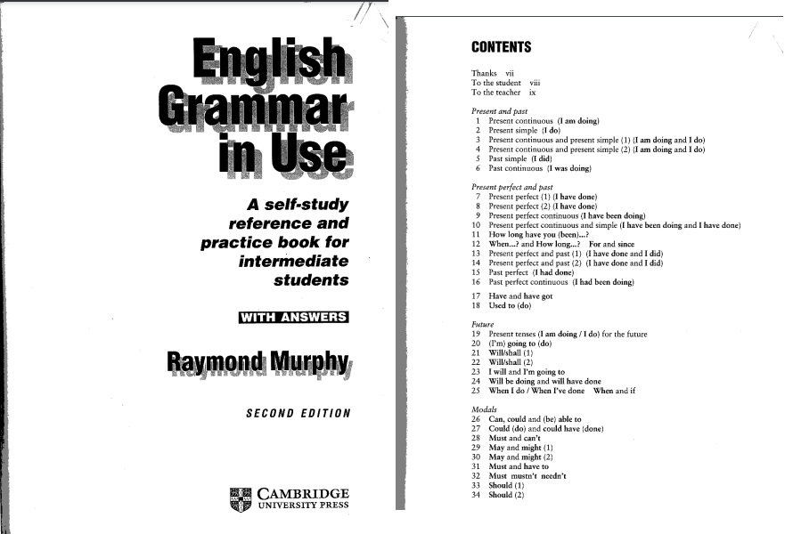 English Grammar In Use Second Edition PDF