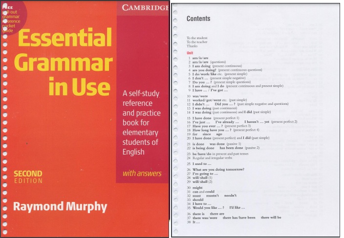 Essential Grammar In Use 2nd Edition PDF