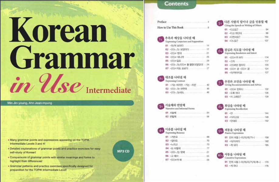 Korean Grammar In Use Intermediate PDF