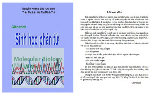 Giáo trình sinh học phân tử PDF