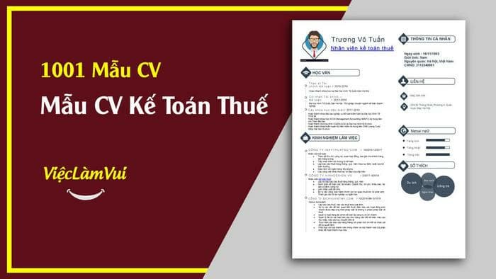 Mẫu CV xin việc kế toán thuế - ViecLamVui