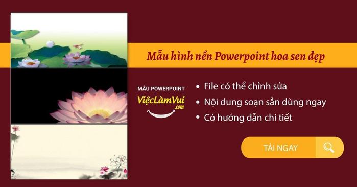 Mẫu hình nền Powerpoint hoa sen Vieclamvui đẹp