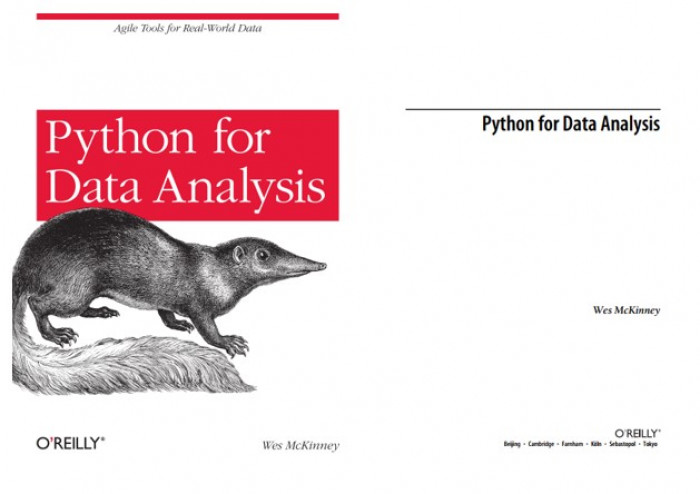 Ebook Python for Data Analysis PDF